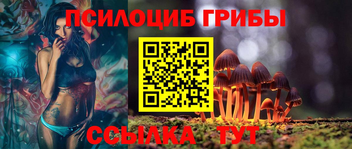 Красногорск  Псилоцибиновые грибы мухоморы  Вход с VPN 