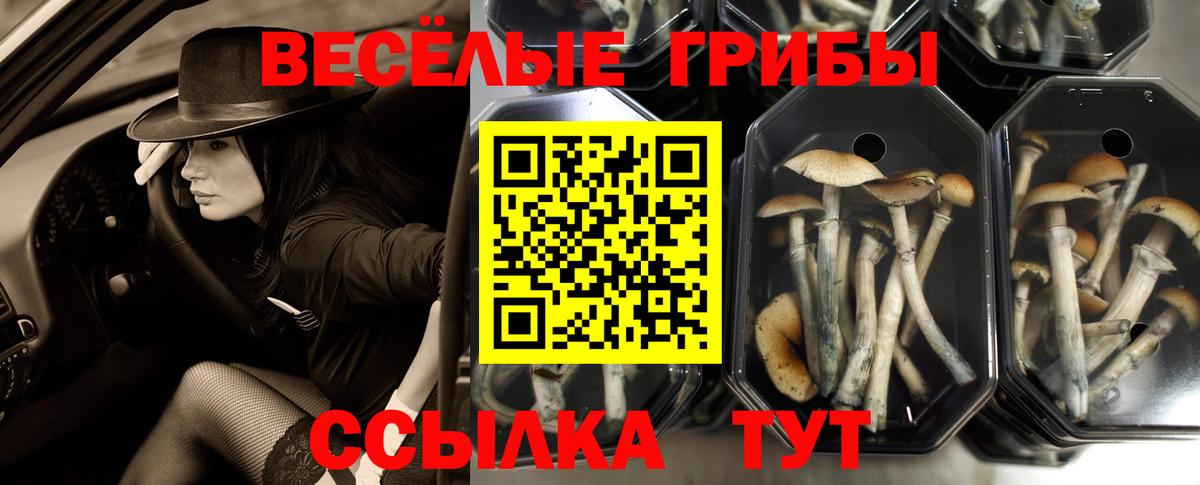 Галлюциногенные грибы прущие грибы Красногорск